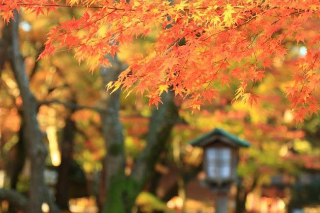 Kanazawa Machiya Inn Hana Zewnętrze zdjęcie